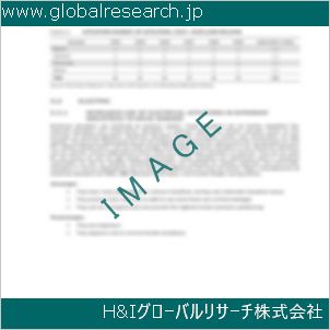 グローバルリサーチ調査資料のイメージ